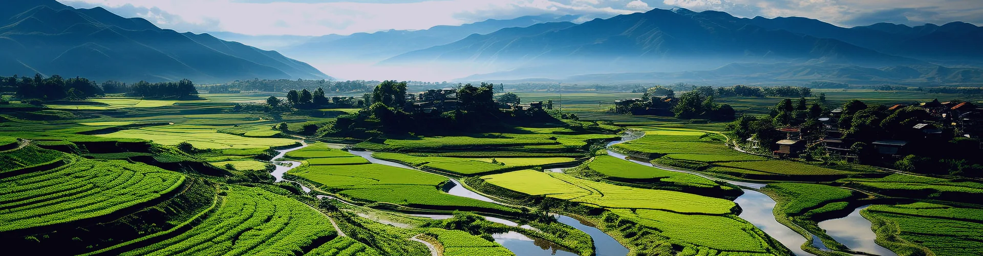 About Shandong Disheng Biotechnology